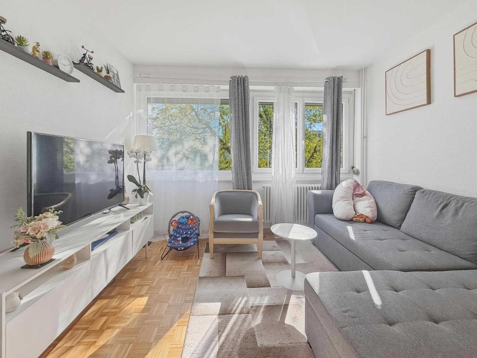 Beautiful Bright 2.5-Room Apartment for Rent in Onex - Living room 1 Beautiful Bright 2.5-Room Apartment for Rent in Onex - Living room 1