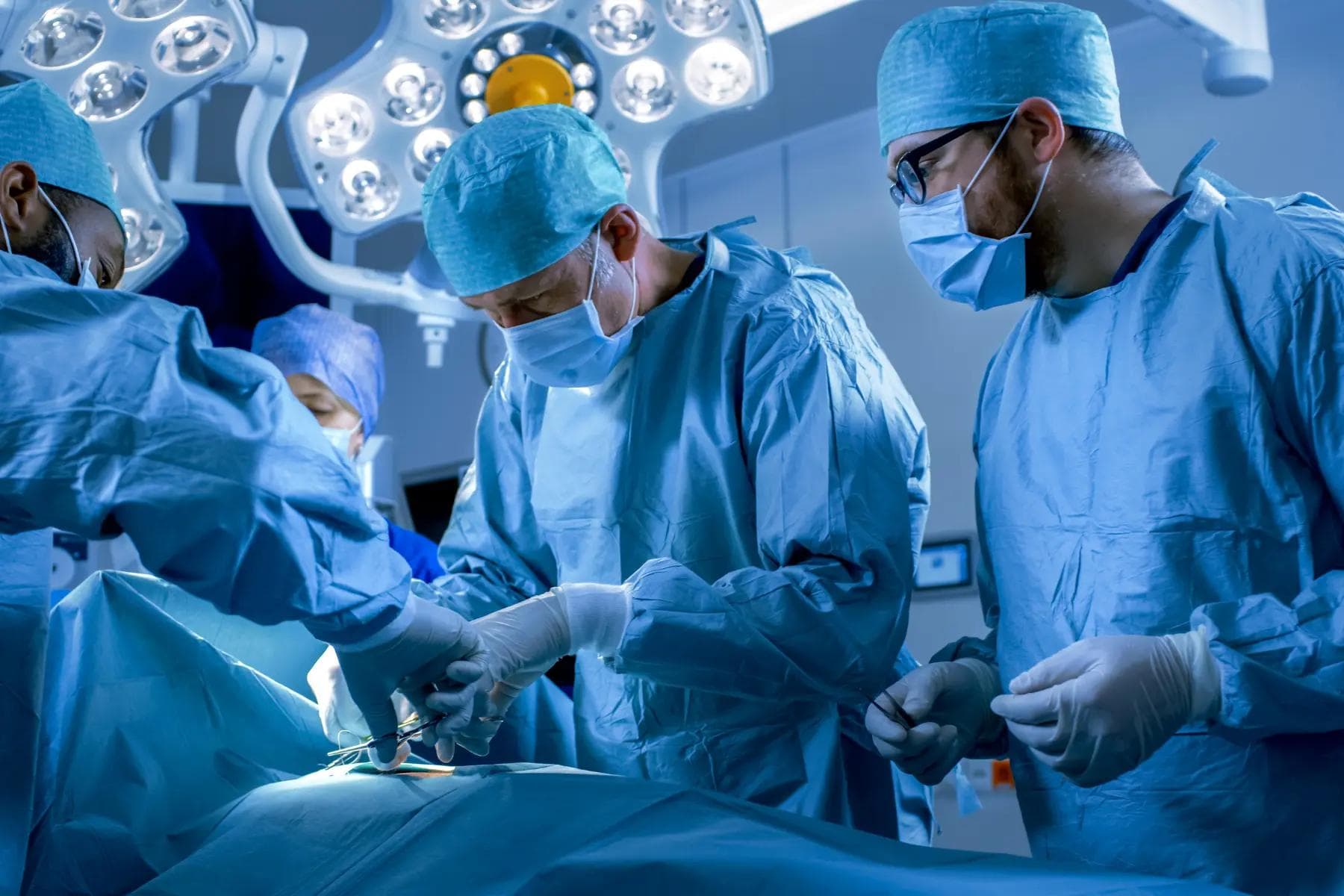 These roles strictly require extensive years of training and specialization. These roles strictly require extensive years of training and specialization.