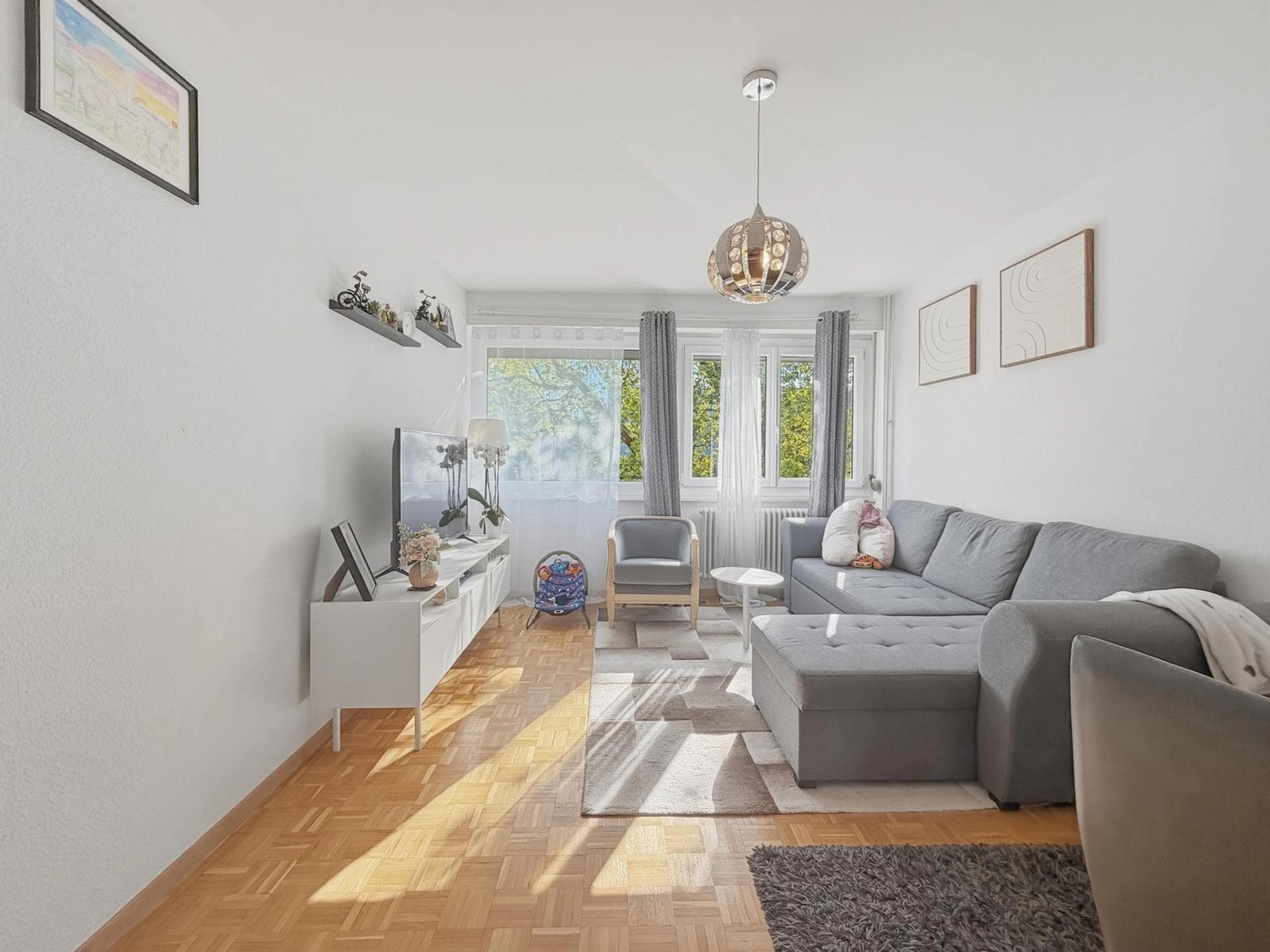 Beautiful Bright 2.5-Room Apartment for Rent in Onex Beautiful Bright 2.5-Room Apartment for Rent in Onex